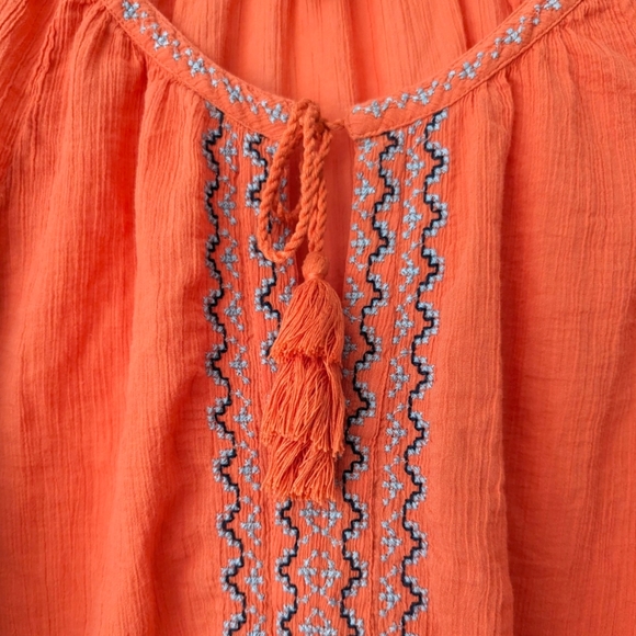 Joie Nelida Embroidered Gauzey-Cotton Tunic Blouse, Blood Orange - Large - Picture 2 of 9